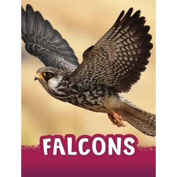 Příroda Falcons - Jaycox, Jaclyn [EN] (2024, Brožovaná, Capstone Global Library Ltd)