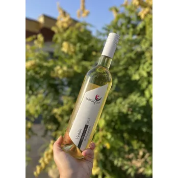 Veltlín INTENSIVE 2024, pozdní sběr, Vinařství Baraque, suché