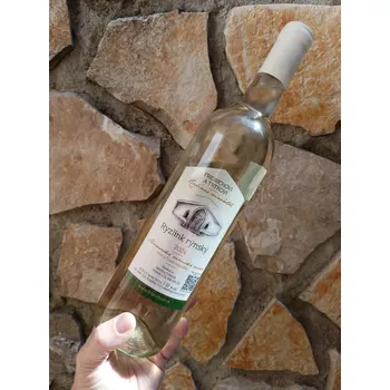 Víno Ryzlink rýnský 2024, moravské zemské víno, Rodinné vinařství Fridrichovi a Trtkovi, suché