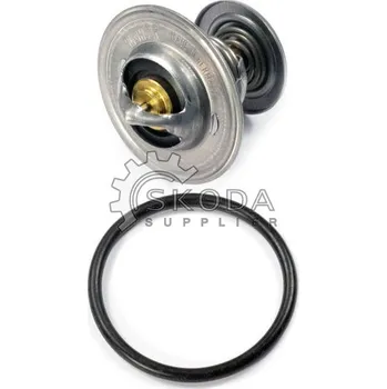 Autodíl Termostat, chladivo BorgWarner (Wahler) 4264.87D