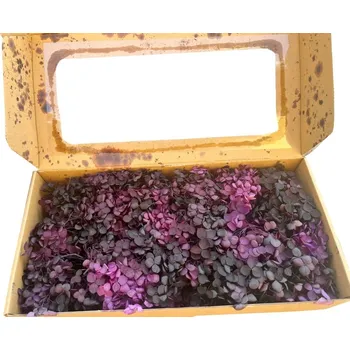 umělá květina Hydrangea stabilizovaná box - purpurová 100 g