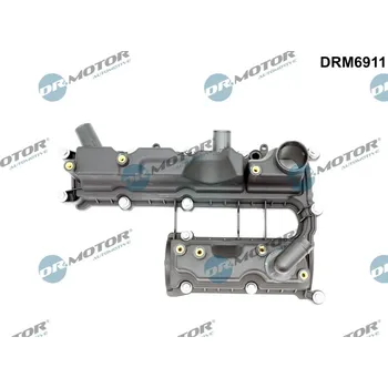 Motor automobilu Kryt hlavy válce Dr.Motor Automotive DRM6911