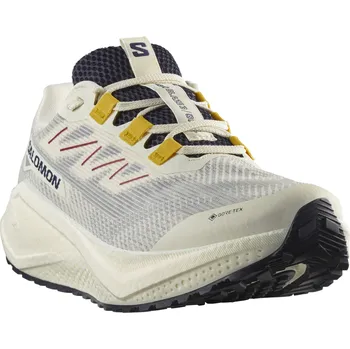 Dámská běžecká obuv Salomon Aero Blaze 3 Grvl GTX W L47974100 - vanilla ice/astral aura/lemon 38