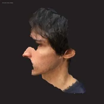 Zahraniční hudba LP Ricardo Dias Gomes: Aa LTD 2018