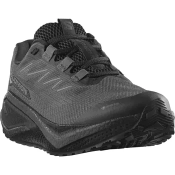 Pánská sportovní obuv Salomon Aero Blaze 3 Grvl GTX M L47976600 - black asphalt/black 44