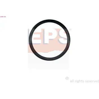 Těsnění motoru Těsnění, termostat EPS 1.890.736