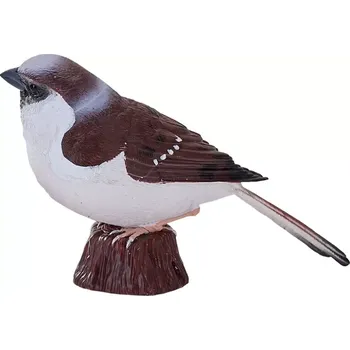 Mojo Vrabec domácí