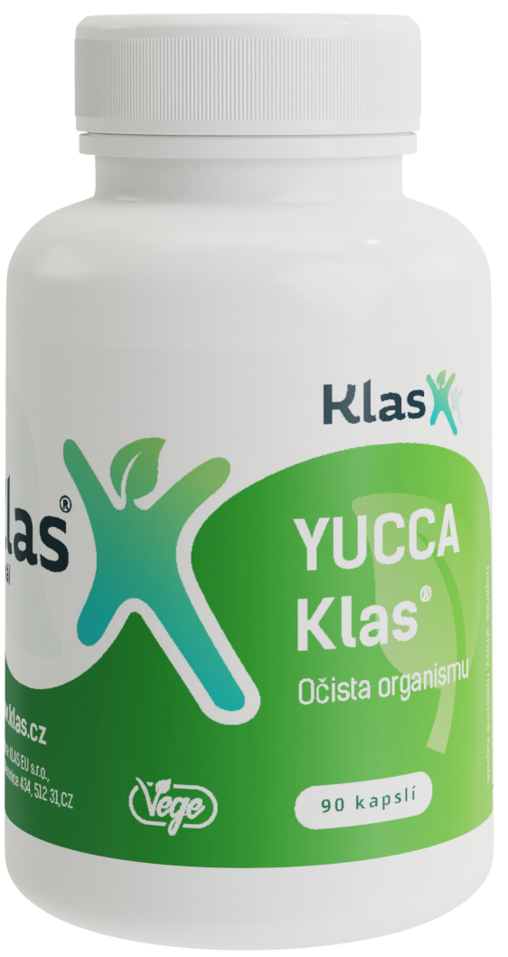 YUCCA Klas