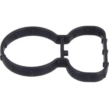 Těsnění motoru Těsnění, koleno sacího potrubí KAMOKA 8704258