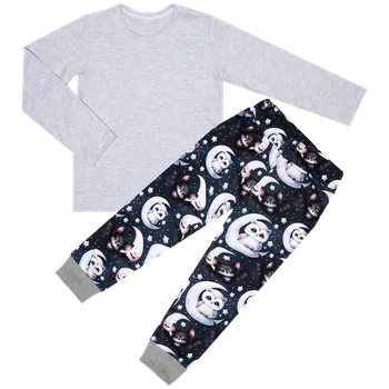 Pyžamo dlouhý rukáv - Světle šedá/Zvířátka Velikost: 116