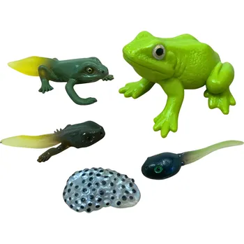 Figurka ANIMAL LIFE figurky životní cyklus Žába