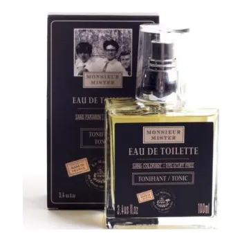 Pánský parfém Toaletní voda pro muže "MISTER" 100ml TML F289