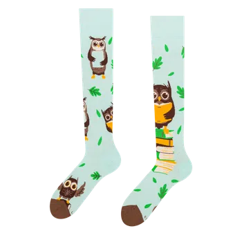 Dámské ponožky Dedoles Veselé podkolenky Sova a knihy Velikost: 39-42
