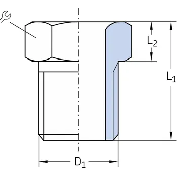 LL/406-002 SKF Převlečný šroub
