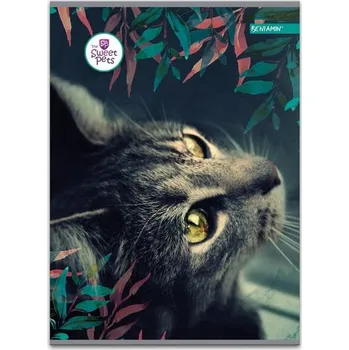 Sešit Sešit A5 Sweet Pets kočka 80 listů, čtverečkovaný