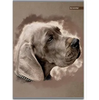 Sešit BENIAMIN Sešit A5 Sweet Pets pejsek 80 listů, čtverečkovaný