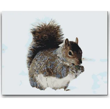 Malování podle čísel - Veverka s oříškem Velikost: 30x40cm, Rámování: Pouze srolované plátno