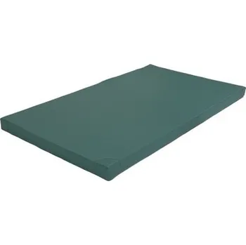 Žíněnka FITMANIA Gymnastická žíněnka SCHOOL 200x120 různé barvy Barva: Zelená