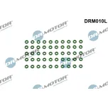 Těsnicí kroužek, držák trysky, DRM010L