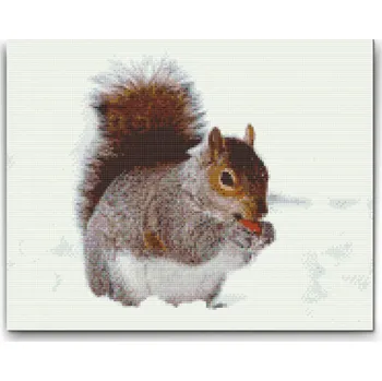 Diamantové malování Diamantové malování - Veverka s oříškem Velikost: 30x40cm, Rámování: Pouze srolované plátno, Diamanty: Kulaté