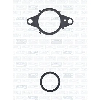 Těsnění výfuku Sada těsnění, agr systém, 77048700