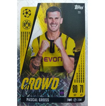 Sběratelská karetní hra Pascal Gross