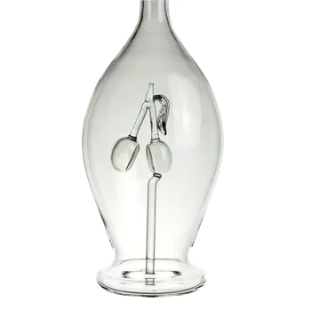 Karafa švestky čiré