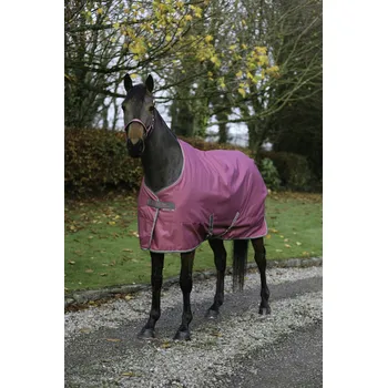 Deka pro koně Bucas Deka stájová Freedom Bucas, 150 g, raspberry Délka zad: 155 cm