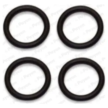 Těsnění motoru Sada těsnění, koleno sacího potrubí, HA5031