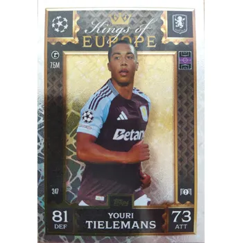 Sběratelská karetní hra Youri Tielemans