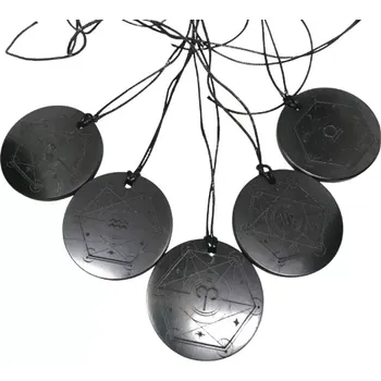 Přívěsek Šungit přívěsek Lev – esoterický ochranný talisman (AKCE)