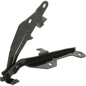 Kapota Závěs, kapota motoru, 6802-00-2589452P