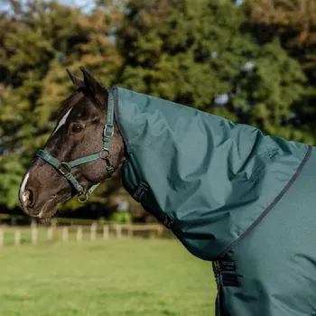 Deka pro koně Krční díl Horseware Amigo Ripstop 900D Kolekce 2025/6