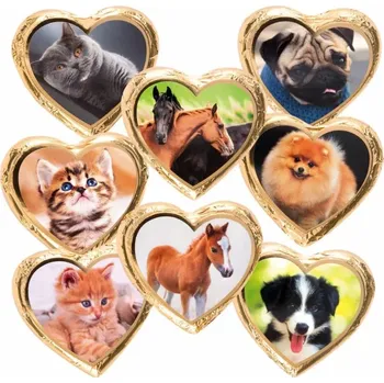 Čokoláda Nugátové srdíčko Pes,kočka,kůň 24g (Nugátové srdíčko Pes,kočka,kůň 24g)