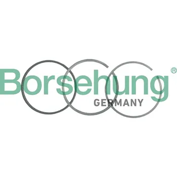 Píst motoru Sada pístních kroužků, B19053