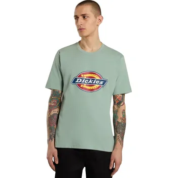 Pánské tričko Tričko Dickies Icon Logo Green - XL