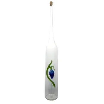 Sklenice Láhev hrozen barevný