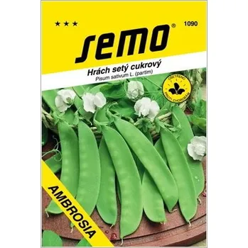 Semeno SEMO Hrách cukrový Ambrosia středně raný - Krátká expirace