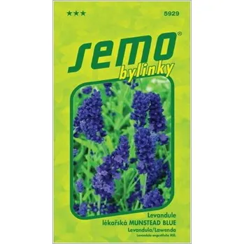 Semeno SEMO Levandule lékařská Munstead Blue - Krátká expirace