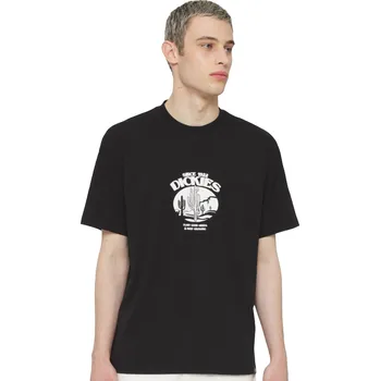 Pánské tričko Tričko Dickies Timberville Black - M