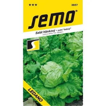 Semeno SEMO Salát hlávkový Ledano ledový raný na pole - Krátká expirace