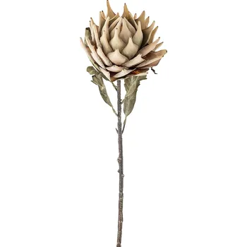 Umělé květiny Bloomingville Protea Stem 76 cm 82061468 vícebarevná MLC