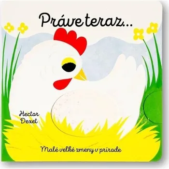 Leporelo Práve teraz… - Hector Dexet