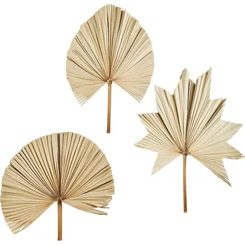 Nástěnná dekorace Madam Stoltz Palm Leaves 60-70 cm 3-pack béžová barva DC21003.4.6 01X