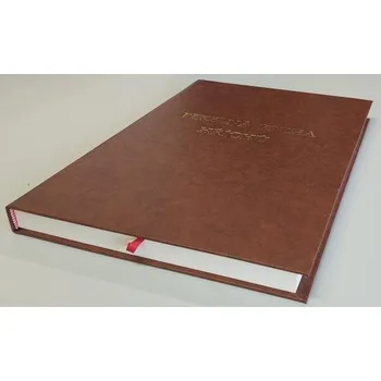 Karnevalový kostým Pekelná kniha hříchů © economy 339283