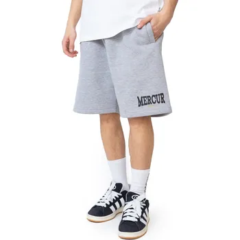 Pánské kraťasy Kraťasy Mercur Box Gray - M