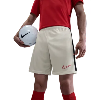 Pánské kraťasy Šortky Nike Dri-FIT Academy 25 hj3796-133 Velikost L