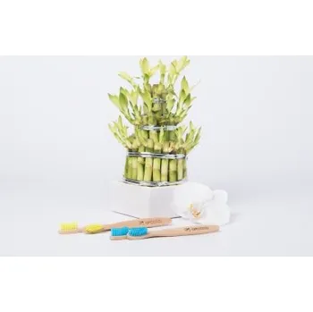 Zubní kartáček Bambusový zubní kartáček pro děti - měkký až středně tvrdý ŽLUTÝ (1ks) TML D123