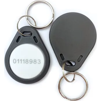 TK4100 125KHz RFID Nepřepisovatelná Klíčenka - šedá