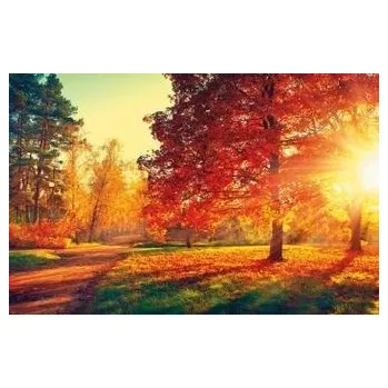 Kalendář Kalendarz 2023 Ścienny Zachód